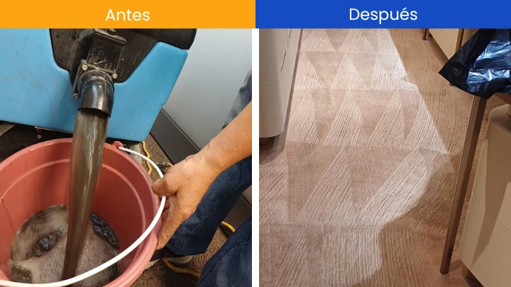 Limpieza de Alfombras